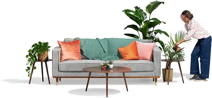 At the side of her grey couch, a woman waters her plants